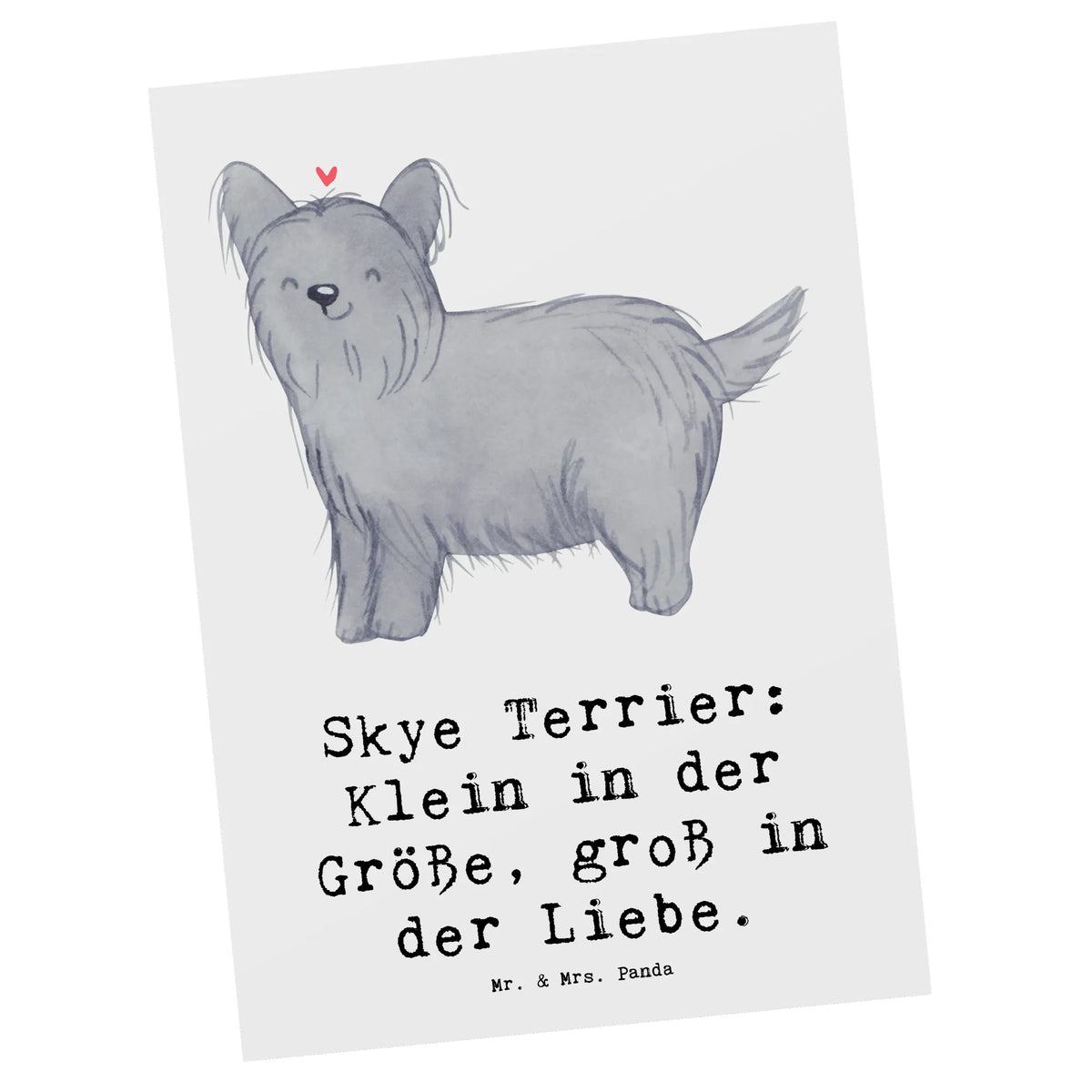 Postcard Skye Terrier: Klein in der Größe, groß in der Liebe. Postkarten, Ansichtskarte, Grußkarte, kunstkarte, bildkarte, Postkarte, Fotokarte, Designkarte, spruchkarte, Motivkarte, einzelkarte, Ansichtskarten, Kunstkarten, Geschenk, Schenken, Hund, Hunderasse, Rassehund, Hundebesitzer, Tierfreund, Welpe