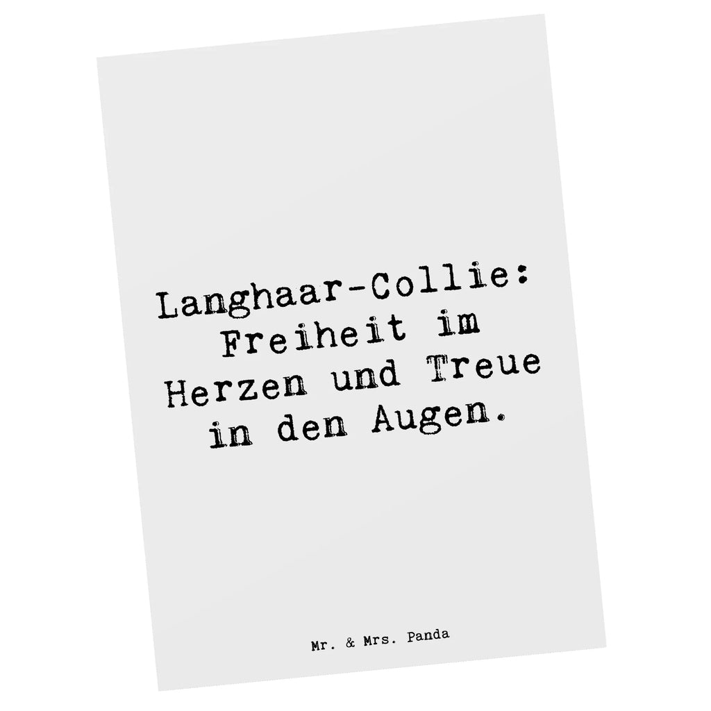 Postkarte Spruch Langhaar Collie Treue Ansichtskarten, Einladungskarte, Grußkarte, Ansichtskarte, Postkarte, Einladungskarten Geburtstag, Geburtstagskarte, Einladung, Karte, Dankeskarte, Geschenkkarte, Einladung Geburtstag, Hund, Hunderasse, Rassehund, Hundebesitzer, Geschenk, Tierfreund, Schenken, Welpe