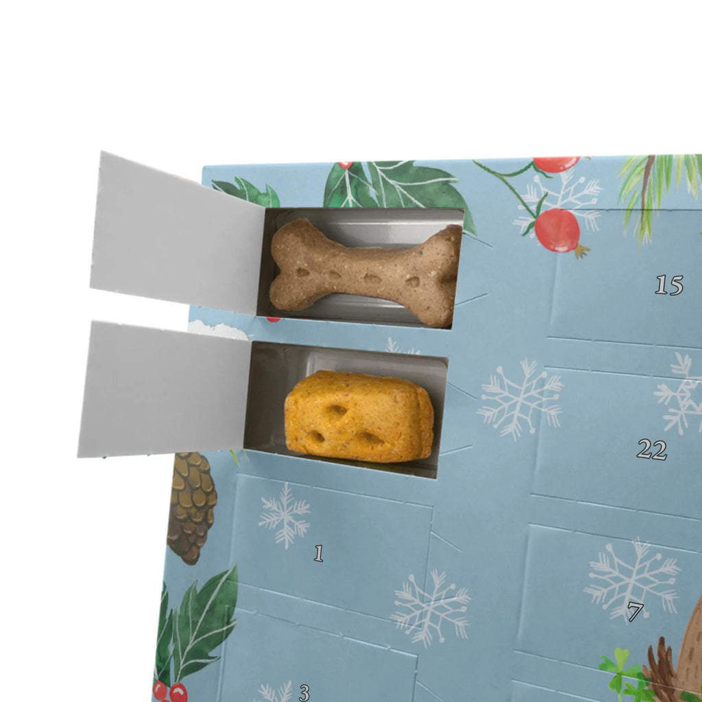 Hunde Adventskalender Hund Kleeblatt Hunde Adventskalender, Kalender, Weihnachtskalender, Adventskalender für Hunde, Hunderasse, Tierliebhaber, Hundemotiv, Haustier, Hundebesitzer, Hund, Sprüche, Tagträume, Selbstliebe, Glück, Neuanfang, Kleeblatt, Motivation, Geschenk, Achtsamkeit, Glücksbringer