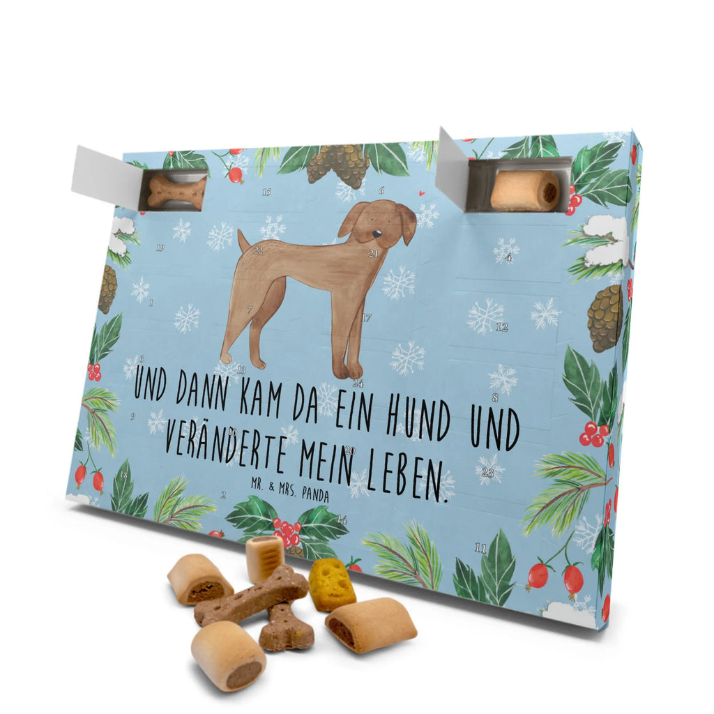 Hunde Adventskalender Hund Dogge Kalender, Hunde Adventskalender, Adventskalender für Hunde, Weihnachtskalender, Hunderasse, Hundebesitzer, Sprüche, Tierliebhaber, Hundemotiv, Haustier, Hund, Great Dane, Dogge, Deutsche Dogge, Hunde
