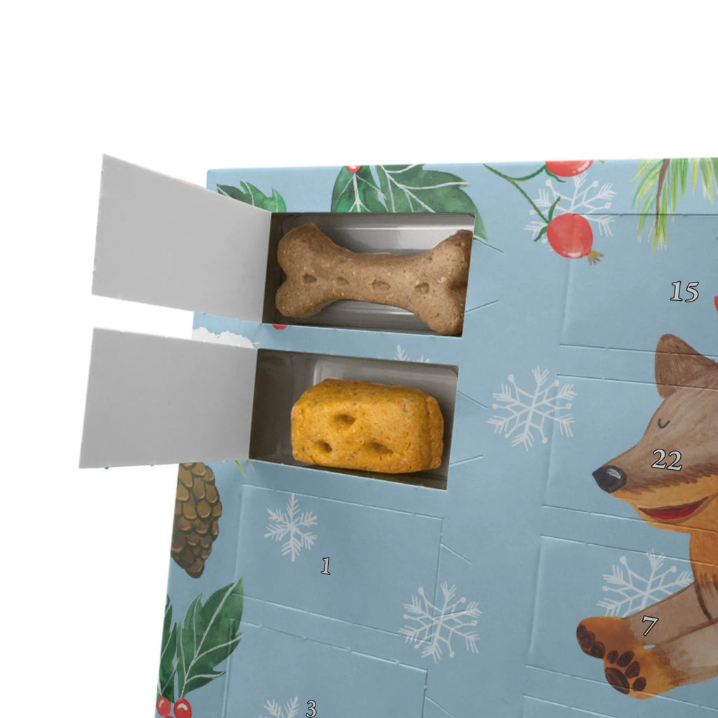 Dog advent calendar Dog dachshund Dogs Advent Calendar, Pets, dog breed, hound, bag with dog print, mutt, what do you give a dog lover, dog mama, Christmas gifts for dogs, dog decorative items, funny gifts for dog owners, dog sayings, love dogs, woof, love for dogs, gifts for dogs, dogs