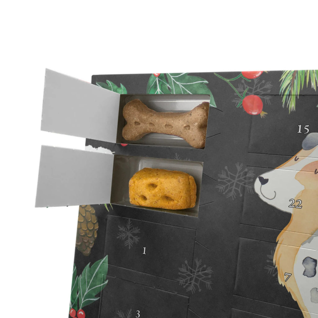 Personalisierter Hunde Adventskalender Hund Australien Shepherd Hunde Adventskalender, Hunderasse, Tierliebhaber, Hundemotiv, Haustier, Hundebesitzer, Hund, Sprüche, Hundeliebe, Spruch, Familienhund, Shepherd, Australien Shepherd
