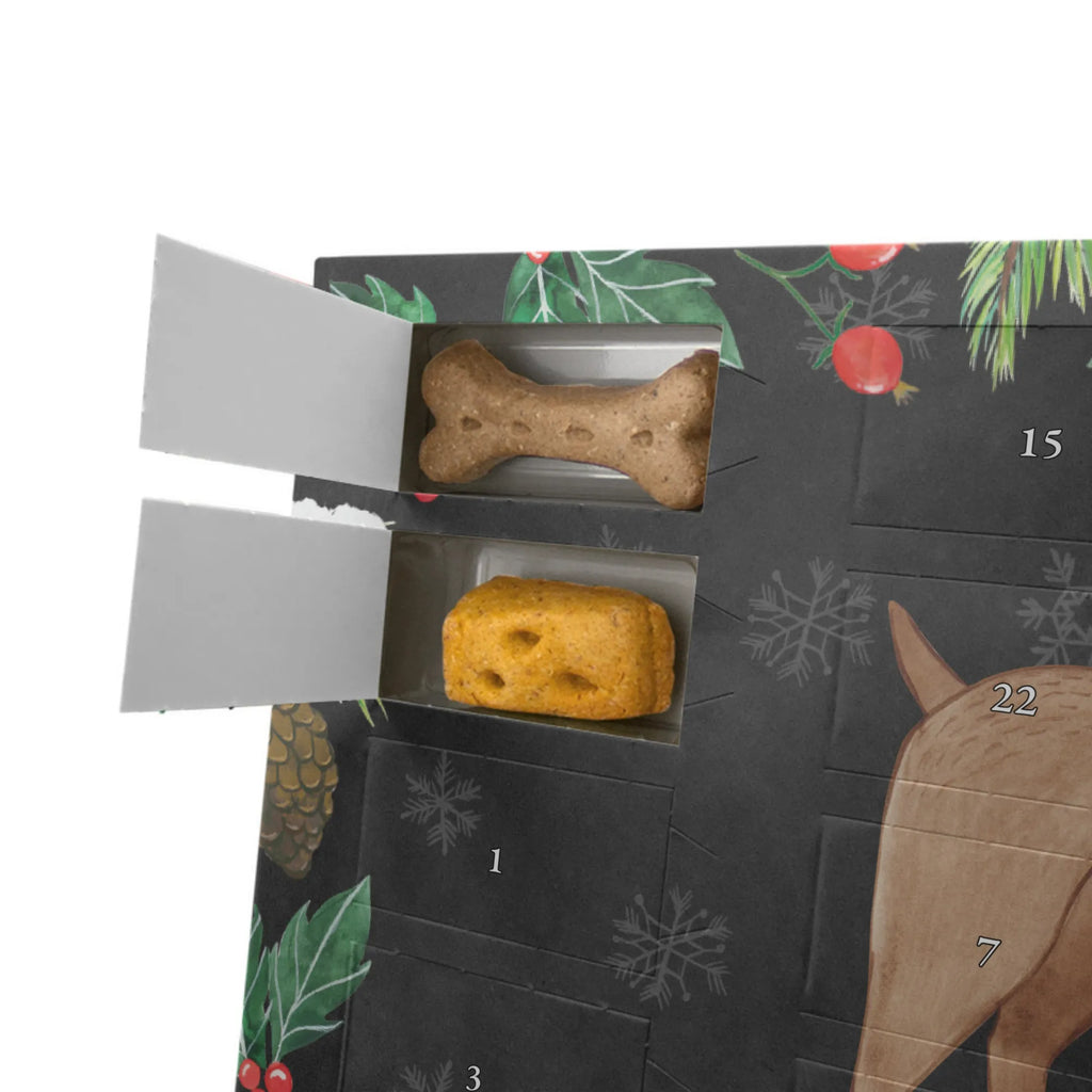  pies Dog niemiecki Pies, właściciel psa, rasa psa, miłośnik zwierząt, zwierzę domowe, motyw psa, powiedzenia