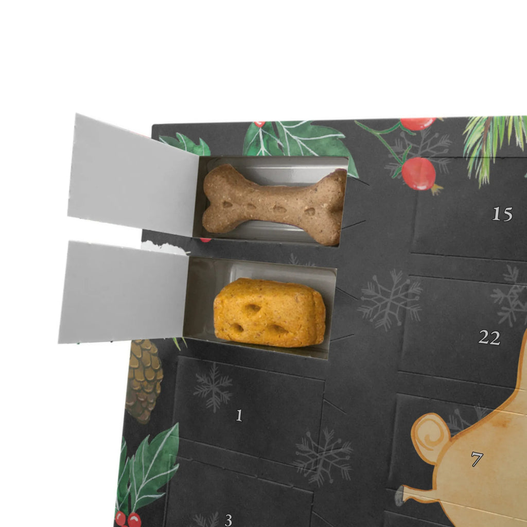  mops Zakochani Pies, właściciel psa, rasa psa, miłośnik zwierząt, zwierzę domowe, motyw psa, powiedzenia