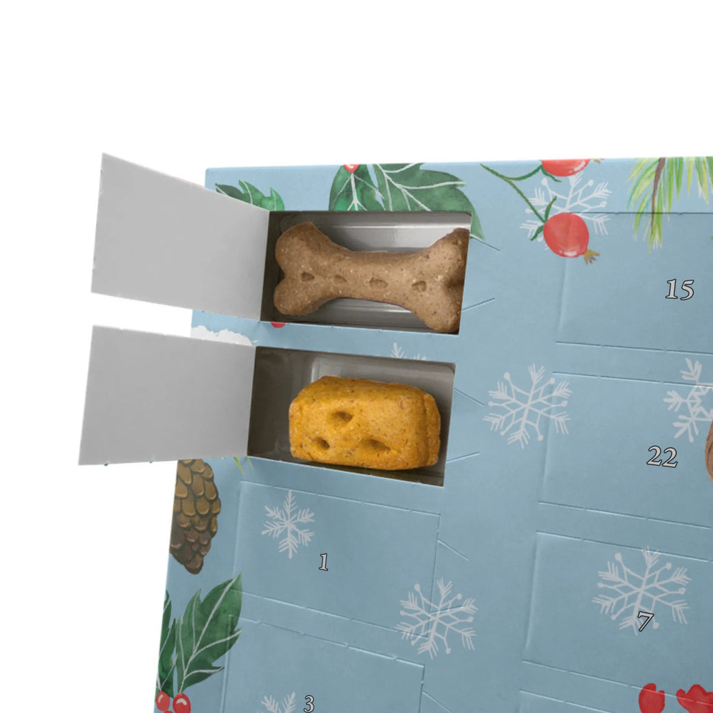 Personalisierter Hunde Adventskalender Hund Dame Hunde Adventskalender, Hunderasse, Tierliebhaber, Hundemotiv, Haustier, Hundebesitzer, Hund, Sprüche, Hundeglück, Liebe, Hundeliebe, Hunde, Frauchen