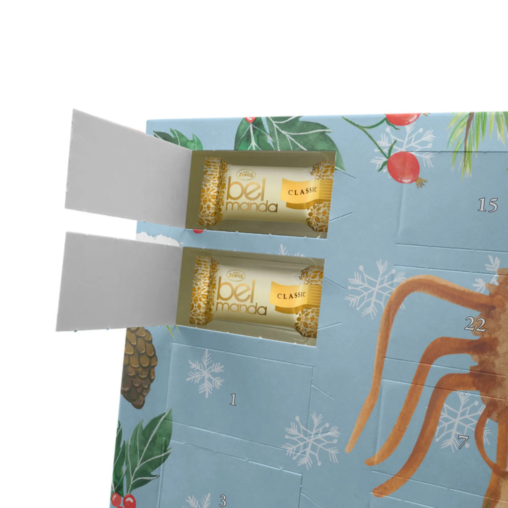 Personalisierter Marzipan Adventskalender Spinne Agathe Sandwich Personalisierter Marzipan Adventskalender, Spinne Agathe, Spinne, Agathe, Videos, Merchandise, Alles wird gut, Verfressen, Hungrig, Mut, Glück, Lebensfreude, Hunger