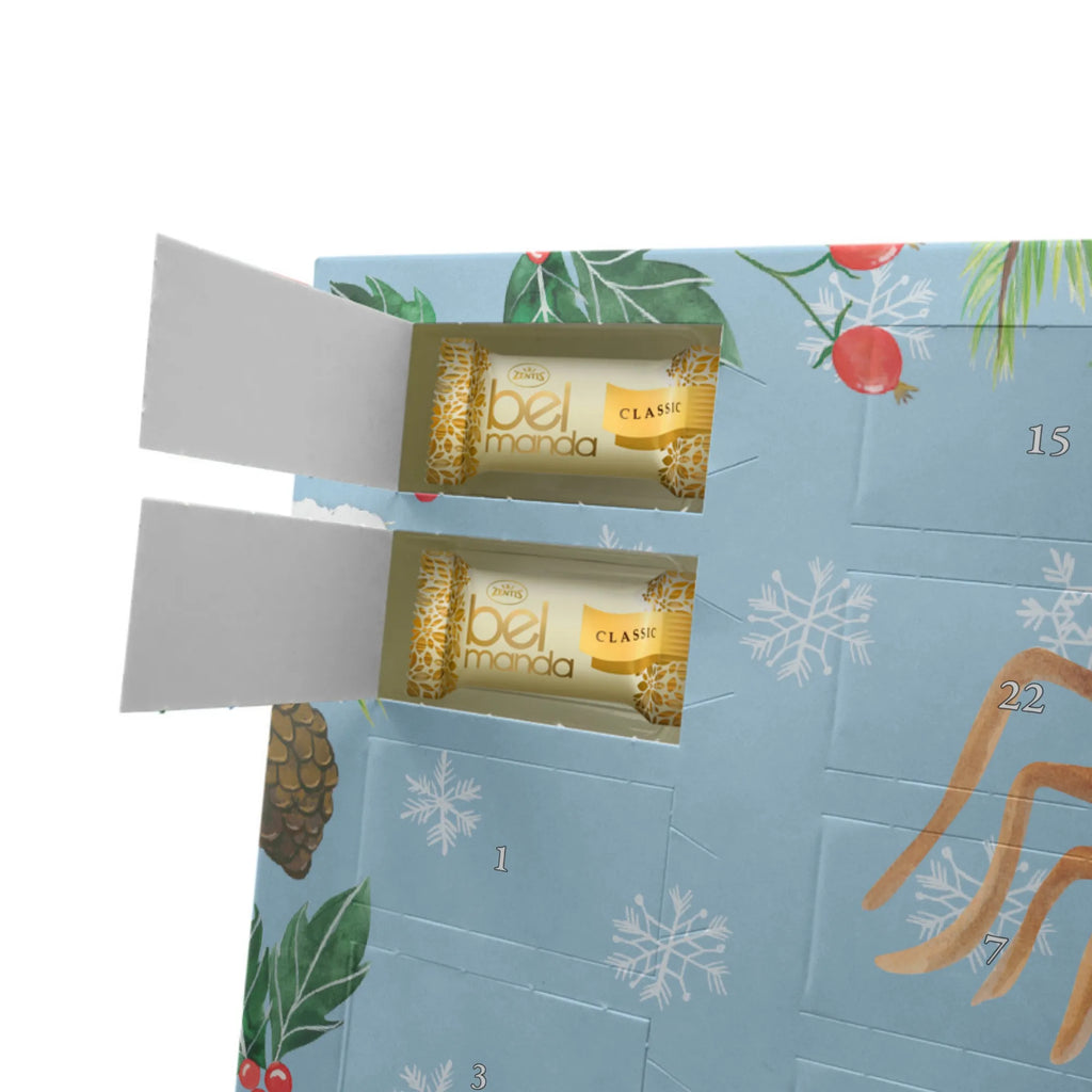 Personalisierter Marzipan Adventskalender Spinne Agathe Teddy Personalisierter Marzipan Adventskalender, Spinne Agathe, Spinne, Agathe, Videos, Merchandise, Teddy, Verliebt, Liebesgeschenk, Miteinander, Dankeschön, Treue, Freundschaft, Liebesbeweis
