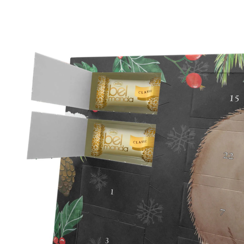 Personalisierter Marzipan Adventskalender Wombat Personalisierter Marzipan Adventskalender, Tiermotive, Gute Laune, lustige Sprüche, Tiere, Wombat, Motivation, Spruch, Australien, Das Leben ist schön