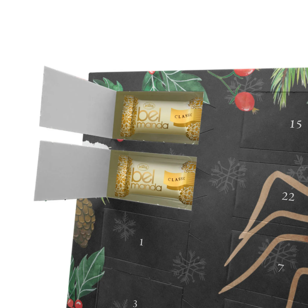 Personalisierter Marzipan Adventskalender Spinne Agathe Party Personalisierter Marzipan Adventskalender, Spinne Agathe, Spinne, Agathe, Videos, Merchandise, Glück, Motivation, Selbstliebe, Wunder