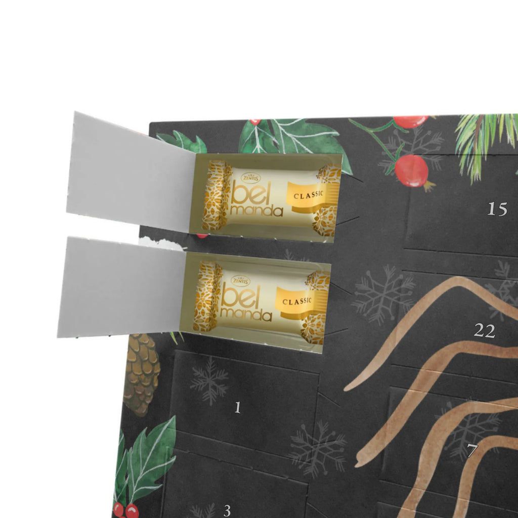 Personalisierter Marzipan Adventskalender Spinne Agathe Freude Personalisierter Marzipan Adventskalender, Spinne Agathe, Spinne, Agathe, Videos, Merchandise, Viraler Hit, Trend, Beliebte Spinne, Viral