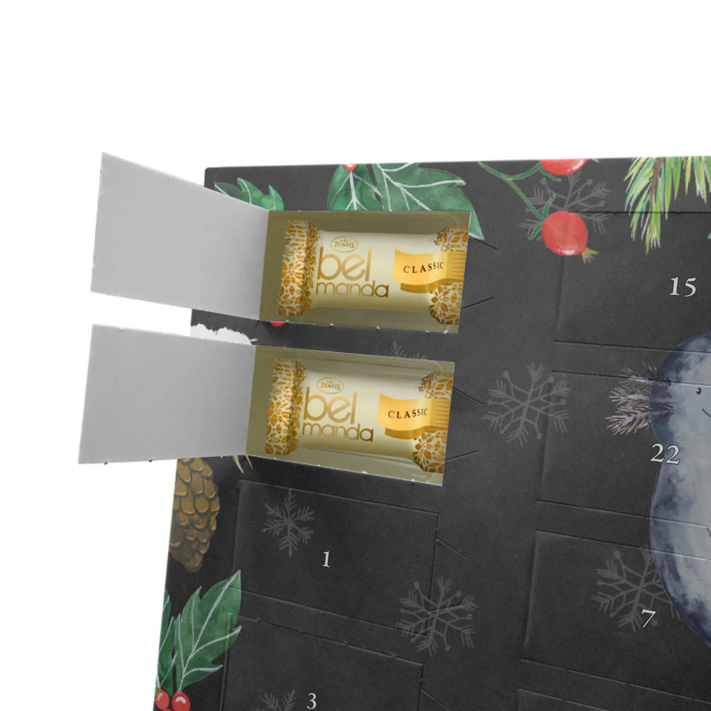 Marzipan Adventskalender Axolotl Freundin Marzipan Adventskalender, Axolotl, Molch, Freund, Jahrestag, Liebesbeweis, große Liebe, Liebe, Axolot, Lurche, Valentinstag, Schwanzlurch, Lurch, Ehemann, Verlobter