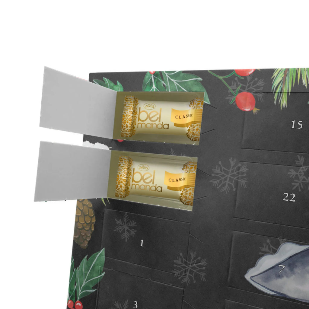 Marzipan Adventskalender Axolotl Schwimmen Marzipan Adventskalender, Axolotl, Molch, Problem, Lurche, Schwanzlurch, Lösungen, Axolot, Lurch, Motivation, Probleme