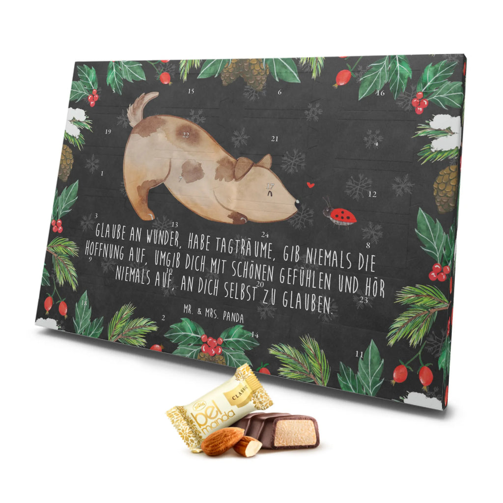 Marzipan Adventskalender Hund Marienkäfer Marzipan Adventskalender, Hund, Hundemotiv, Haustier, Hunderasse, Tierliebhaber, Hundebesitzer, Sprüche, Hunde, Marienkäfer, Mischlinghund, Mischling, Hundespruch