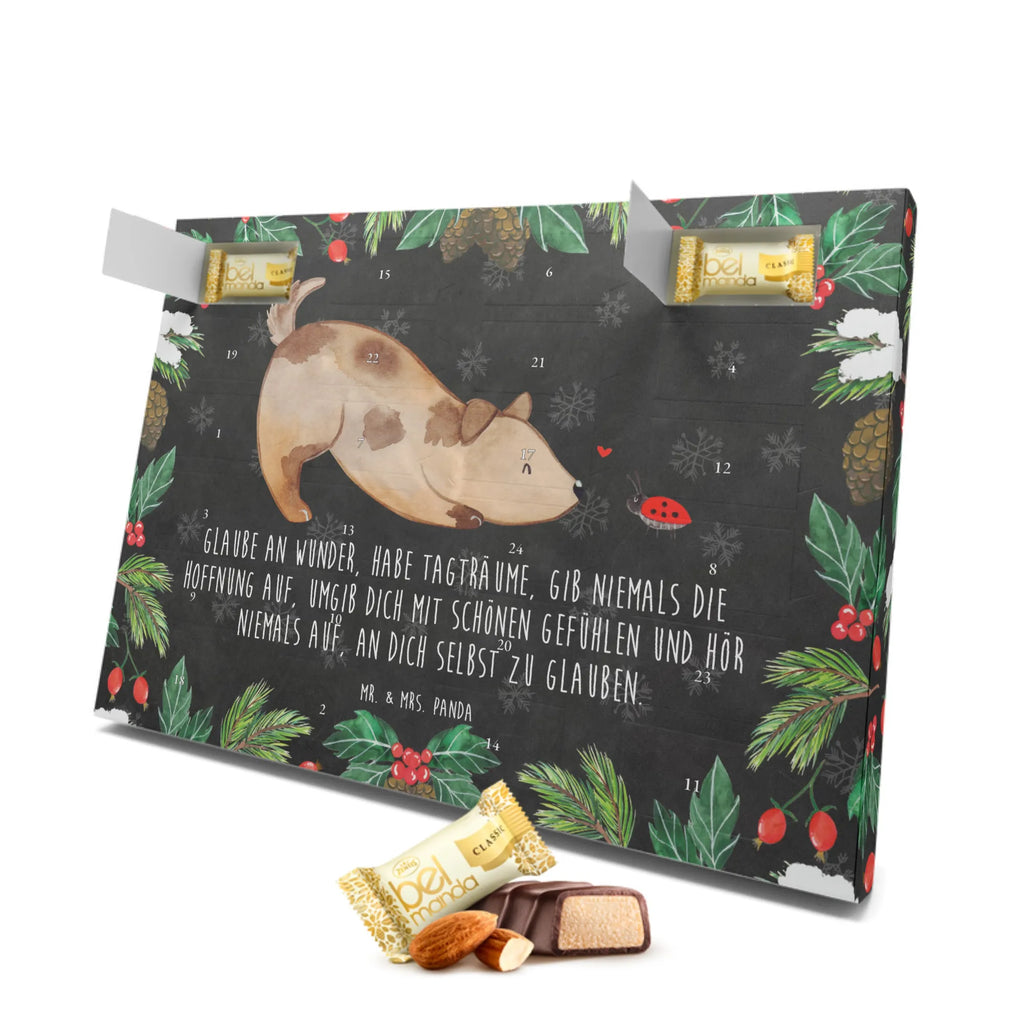Marzipan Adventskalender Hund Marienkäfer Marzipan Adventskalender, Hund, Hundemotiv, Haustier, Hunderasse, Tierliebhaber, Hundebesitzer, Sprüche, Hunde, Marienkäfer, Mischlinghund, Mischling, Hundespruch