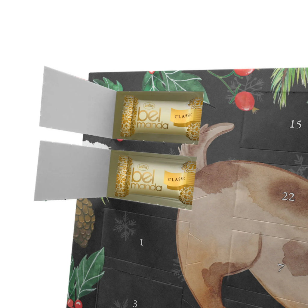 Marzipan Adventskalender Hund Marienkäfer Marzipan Adventskalender, Hund, Hundemotiv, Haustier, Hunderasse, Tierliebhaber, Hundebesitzer, Sprüche, Hunde, Marienkäfer, Mischlinghund, Mischling, Hundespruch