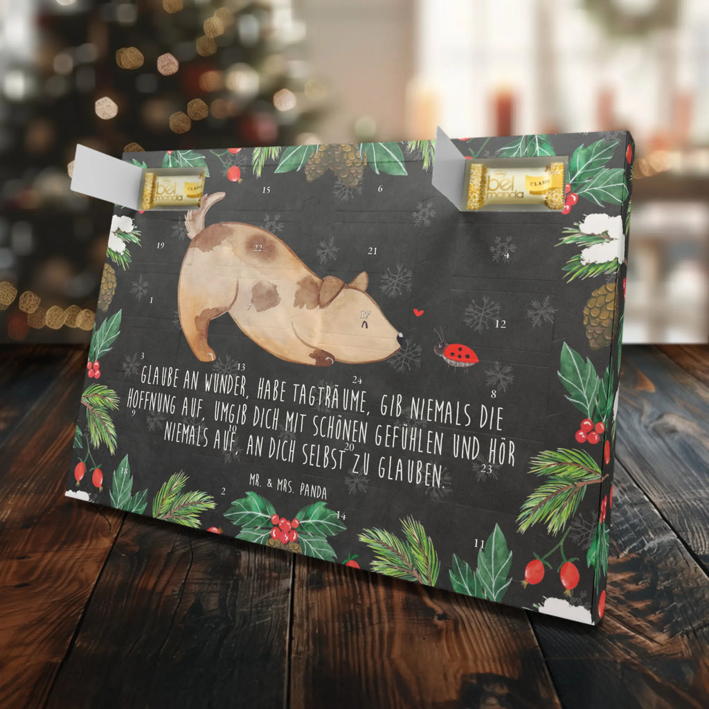 Marzipan Adventskalender Hund Marienkäfer Marzipan Adventskalender, Hund, Hundemotiv, Haustier, Hunderasse, Tierliebhaber, Hundebesitzer, Sprüche, Hunde, Marienkäfer, Mischlinghund, Mischling, Hundespruch