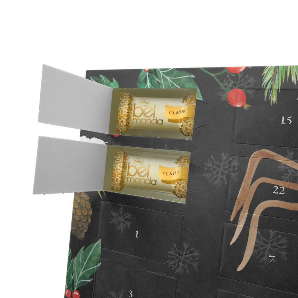 Marzipan Adventskalender Spinne Agathe Kaffee Marzipan Adventskalender, Spinne Agathe, Spinne, Agathe, Videos, Merchandise, Morgenmuffel, Morgen, Weiser Spruch, Kaffee, Lebensweisheiten