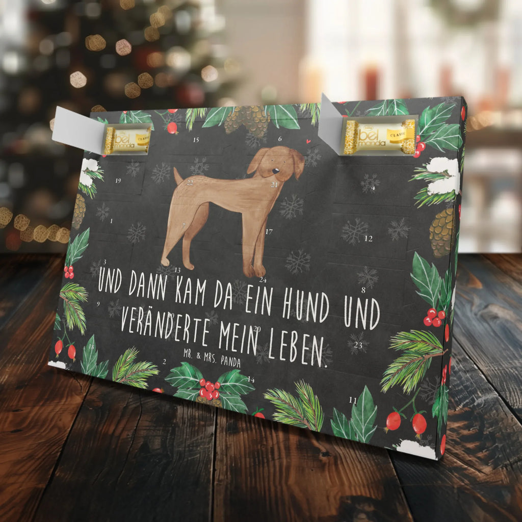 Marzipan Adventskalender Hund Dogge Marzipan Adventskalender, Hund, Hundemotiv, Haustier, Hunderasse, Tierliebhaber, Hundebesitzer, Sprüche, Dogge, Hunde, Deutsche Dogge, Great Dane