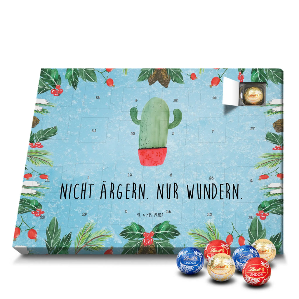 Chocolate advent calendar cactus Fury cactus, cactuses, plants, small green cactus, cactus plant, colleague, angry, annoy, office life, school