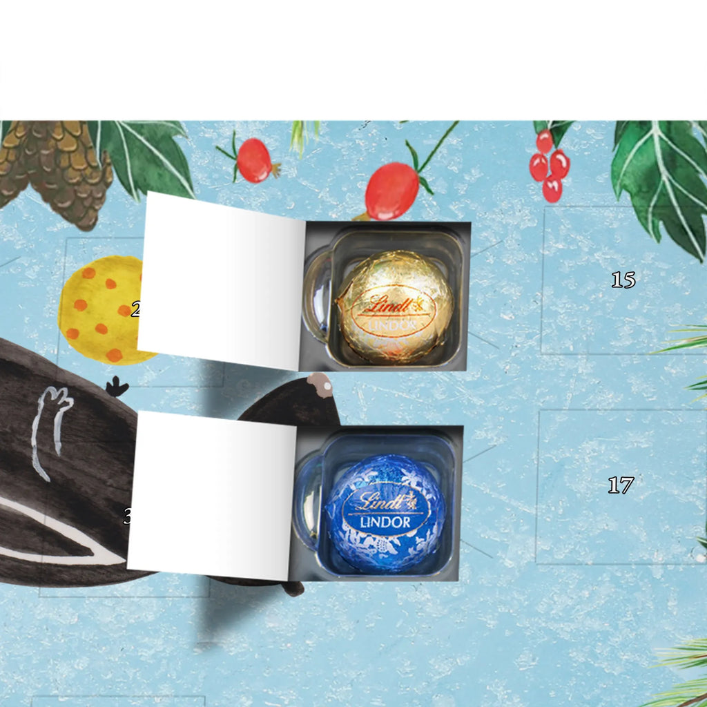 Chocolate advent calendar skunk ball wisdom, playful, predator, stinky, wild animal