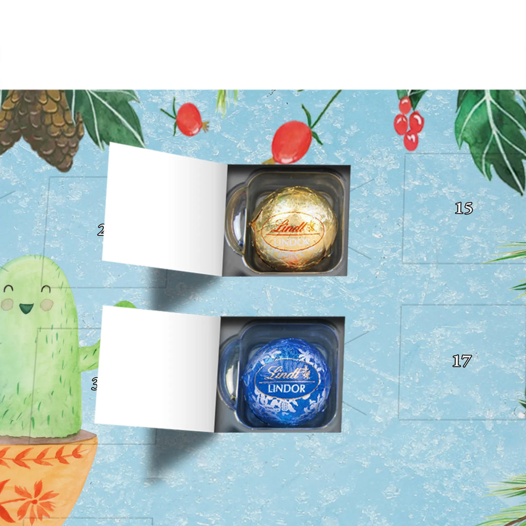 Chocolate advent calendar cactus balloon cactus, cactuses, plants, small green cactus, cactus plant, balloon, joy, boyfriend, new start, office life, cacti, girlfriend, education, exam