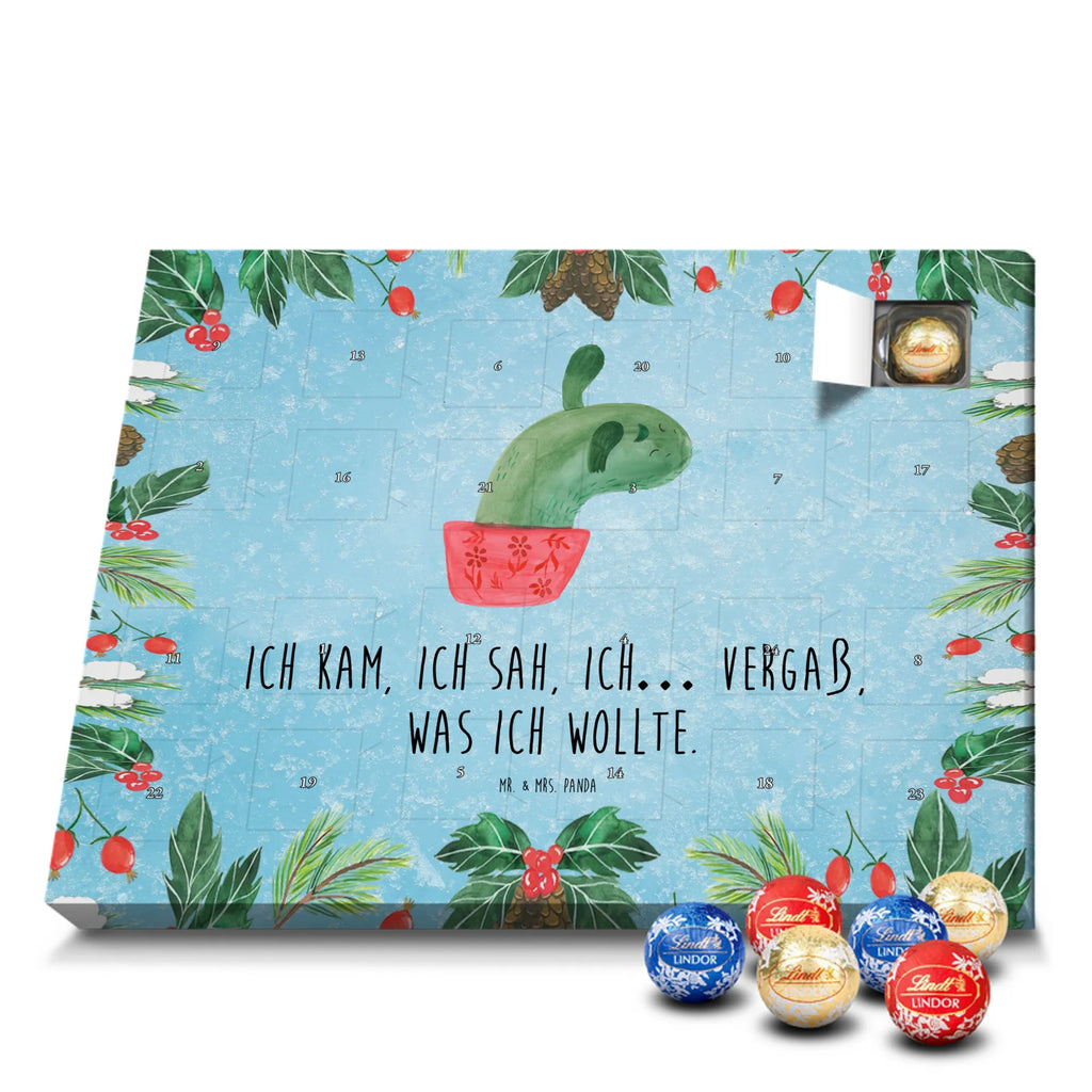 Chocolate advent calendar cactus mummy cactus, cactuses, plants, small green cactus, cactus plant, cactus love, cacti, office life, school, quota, annoyance