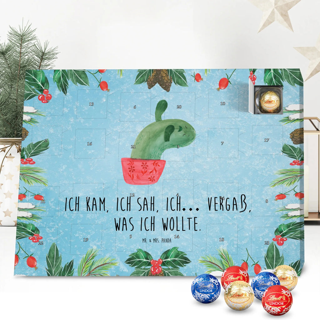 Chocolate advent calendar cactus mummy cactus, cactuses, plants, small green cactus, cactus plant, cactus love, cacti, office life, school, quota, annoyance