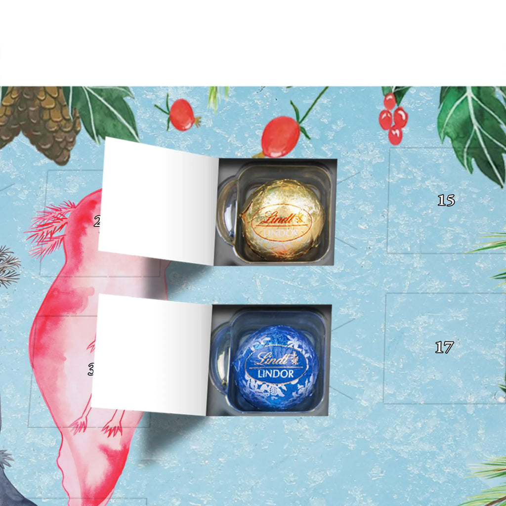 Chocolate advent calendar axolotl Girlfriend Mexican walking fish, Axelotl, marine animals, salamander, amphibian, husband, valentine's day, great love, friend, tail, fiancé, anniversary, proof of love