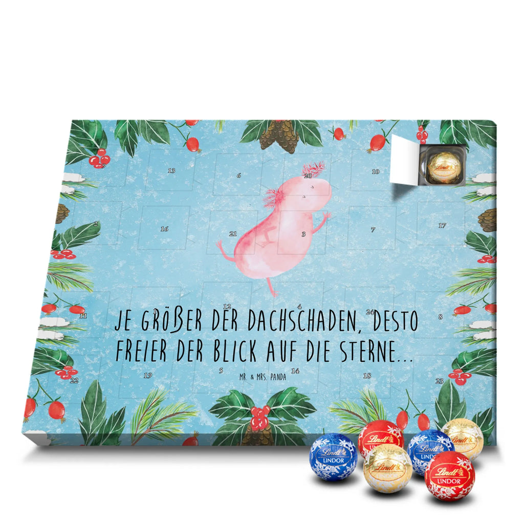 Chocolate advent calendar axolotl Dance Mexican walking fish, Axelotl, marine animals, salamander, stars, roof damage, tailfish, best friend, amphibians, girlfriend
