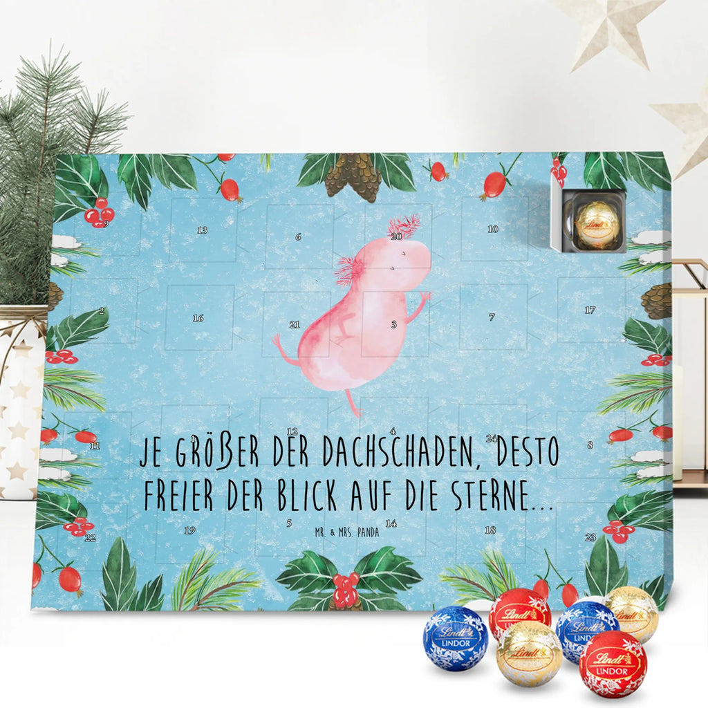 Chocolate advent calendar axolotl Dance Mexican walking fish, Axelotl, marine animals, salamander, stars, roof damage, tailfish, best friend, amphibians, girlfriend