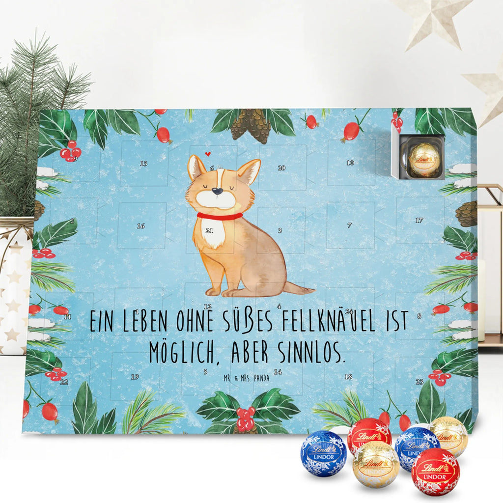 Chocolate advent calendar Dog Luck mutt, dog sayings, love dogs, dog mama, funny gifts for dog owners, woof, what do you give a dog lover, dog breed, Christmas gifts for dogs, gifts for dogs, bag with dog print, love for dogs, hound, dog decorative items, dog love, dog owner, dog mom