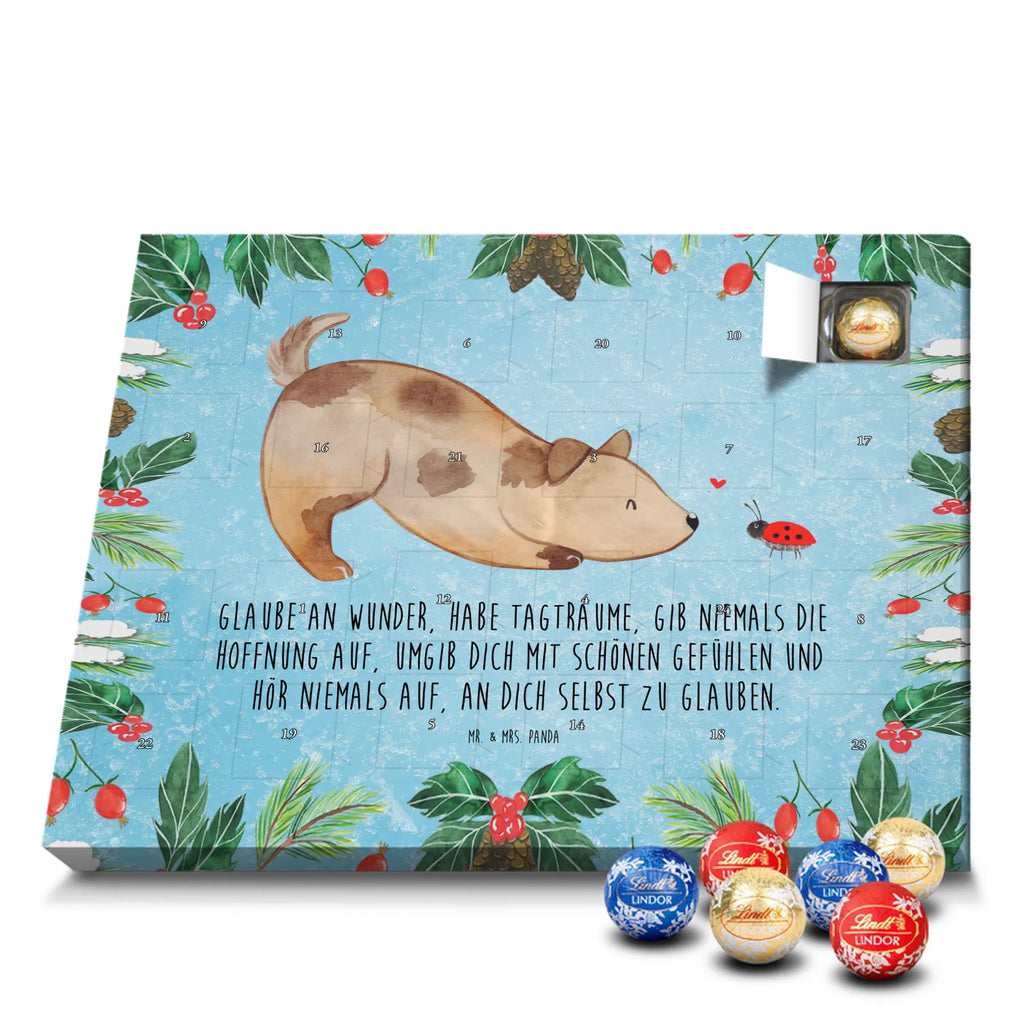 Chocolate advent calendar Dog ladybug mutt, dog sayings, love dogs, dog mama, funny gifts for dog owners, woof, what do you give a dog lover, dog breed, Christmas gifts for dogs, gifts for dogs, bag with dog print, love for dogs, hound, dog decorative items, Mongrel dog, Dog slogan, Ladybird, Sayings, Mongrel, Dogs