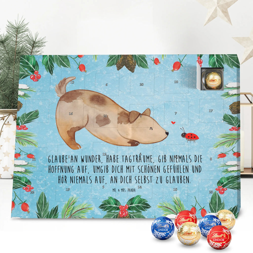 Chocolate advent calendar Dog ladybug mutt, dog sayings, love dogs, dog mama, funny gifts for dog owners, woof, what do you give a dog lover, dog breed, Christmas gifts for dogs, gifts for dogs, bag with dog print, love for dogs, hound, dog decorative items, Mongrel dog, Dog slogan, Ladybird, Sayings, Mongrel, Dogs