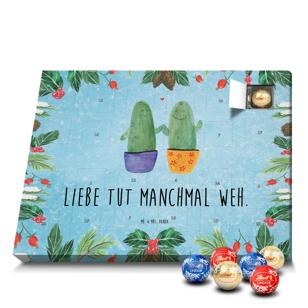 Chocolate advent calendar cactus Love cactus, cactuses, plants, small green cactus, cactus plant, couple, friendship, reconciliation, cactus love, proof of love, quarrel, love message, separation, wedding