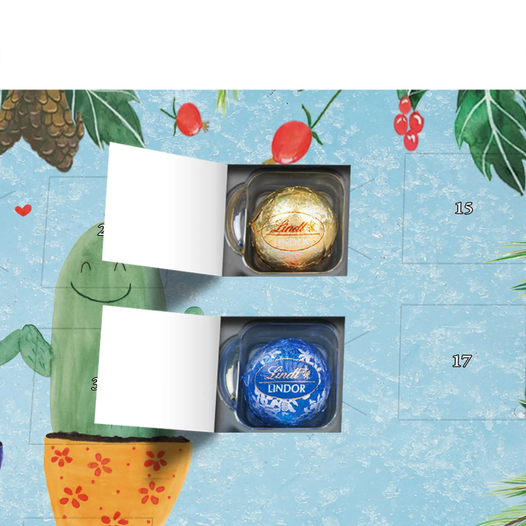 Chocolate advent calendar cactus Love cactus, cactuses, plants, small green cactus, cactus plant, couple, friendship, reconciliation, cactus love, proof of love, quarrel, love message, separation, wedding