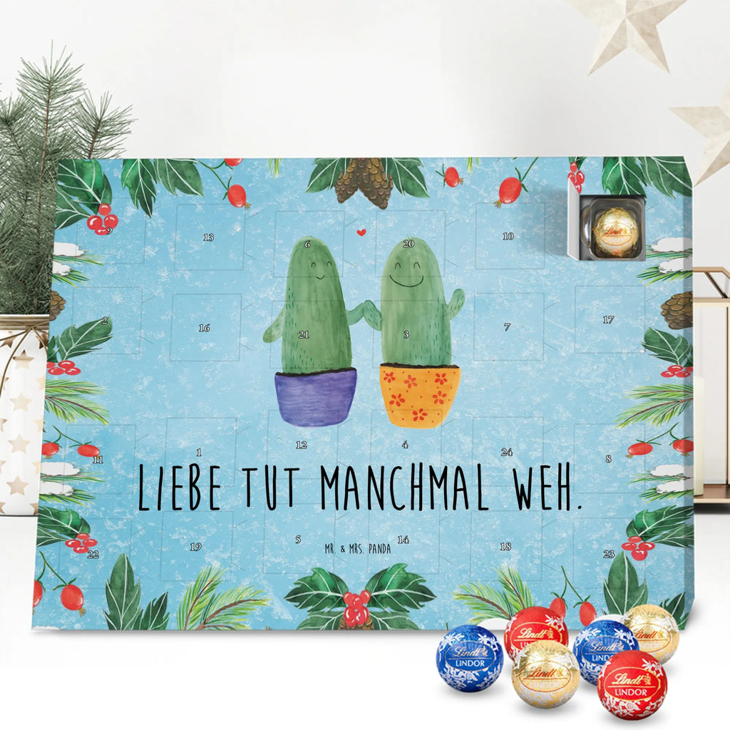 Chocolate advent calendar cactus Love cactus, cactuses, plants, small green cactus, cactus plant, couple, friendship, reconciliation, cactus love, proof of love, quarrel, love message, separation, wedding