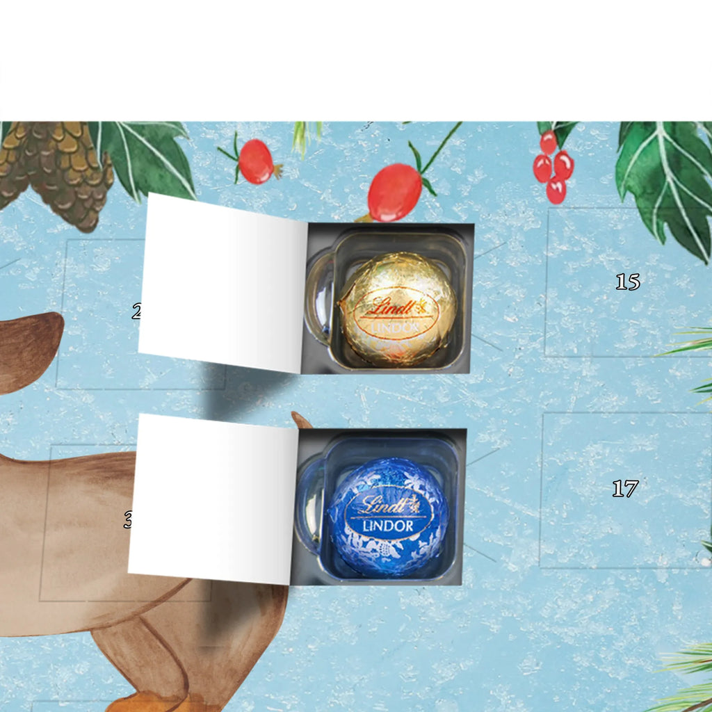  pies Jamnik rasa psa, właściciel psa, miłośnik zwierząt, motyw psa, Pies, powiedzenia, zwierzę domowe