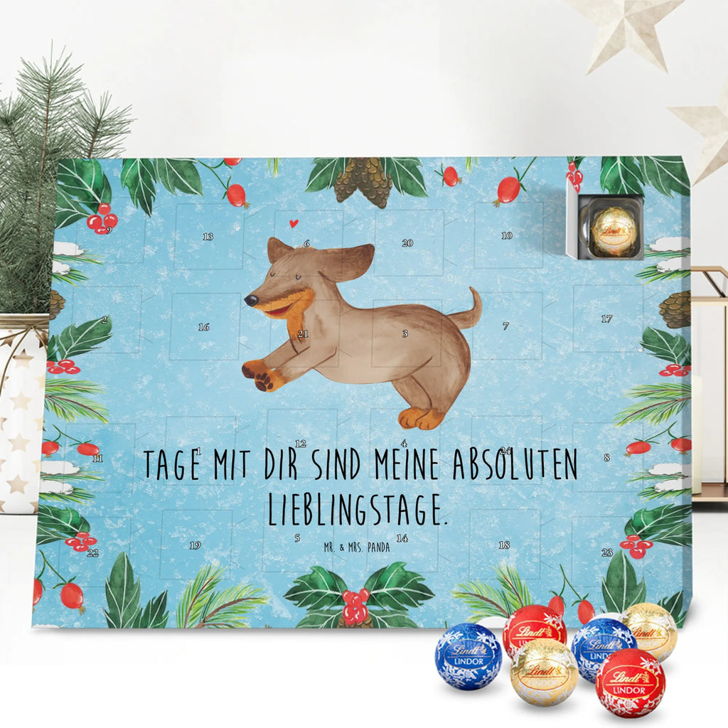  pies Jamnik rasa psa, właściciel psa, miłośnik zwierząt, motyw psa, Pies, powiedzenia, zwierzę domowe