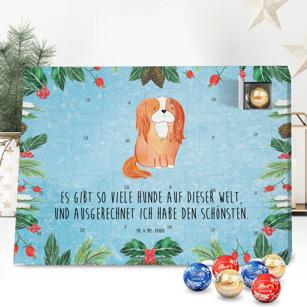 süßigkeiten adventskalender Hund Cavalier King Charles Spaniel Schokoladen-Adventskalender, kalender schokolade, süßigkeiten adventskalender, Weihnachtskalender, Schoko-Adventskalender, pralinen adventskalender, süßigkeiten kalender, Weihnachtskalender Schokolade, Schokoladen Adventskalender, adventskalender schoko, schoko kalender, Schokoladen-Weihnachtskalender, Weihnachts Kalender, schokoladenkalender, schokoladen kalender, adventskalender süßigkeiten, adventskalender pralinen, schokolade adventskalender, Adventskalender Schokolade, kalender weihnachten, Weihnachten Adventskalender, weihnachtskalender schoko, Adventskalender, schoko weihnachtskalender, schokokalender, Schoko Adventskalender, Tierliebhaber, Hundebesitzer, Hunderasse, Haustier, Hund, Sprüche, Hundemotiv, Spaniel, Spruch, Cavalier King Charles Spaniel, Cockerspaniel, Schönster Hund