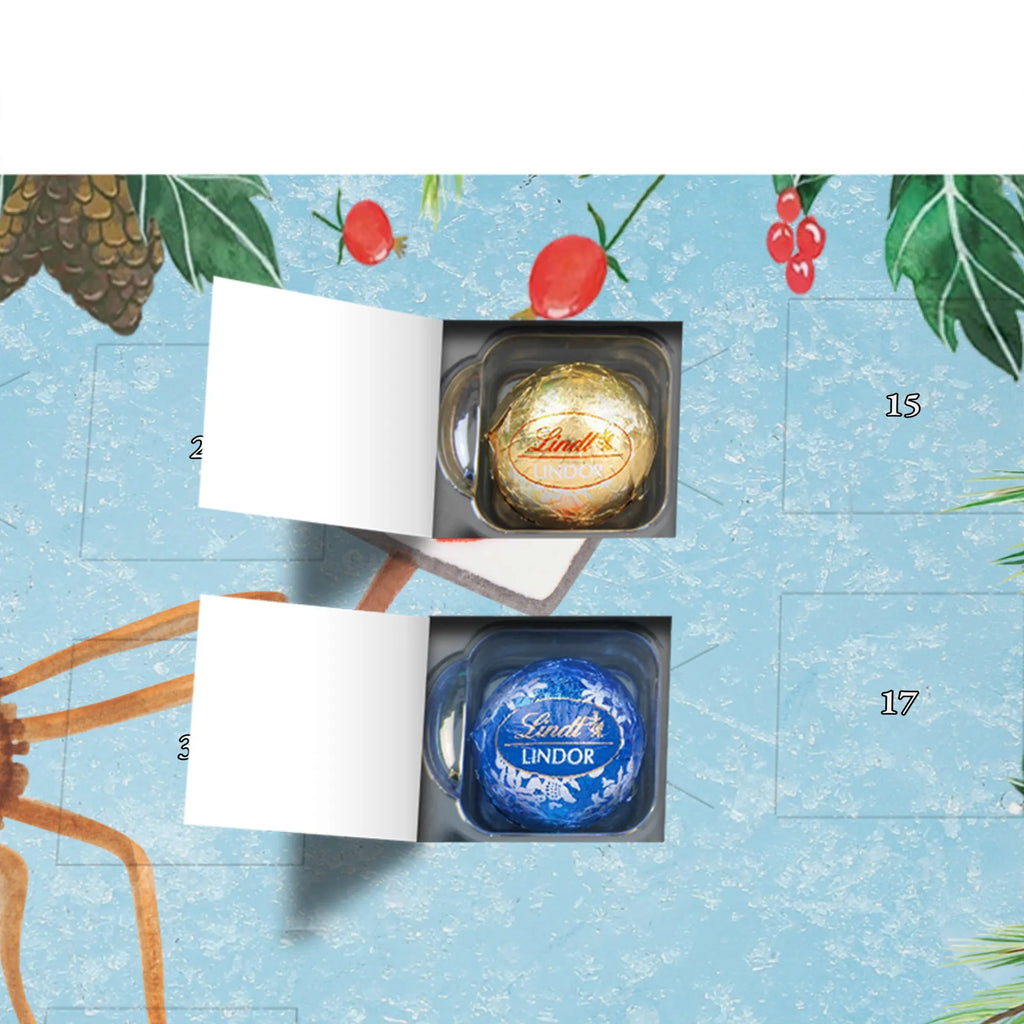 Chocolate advent calendar Spider Agatha Motivation Spider, Spider Agathe