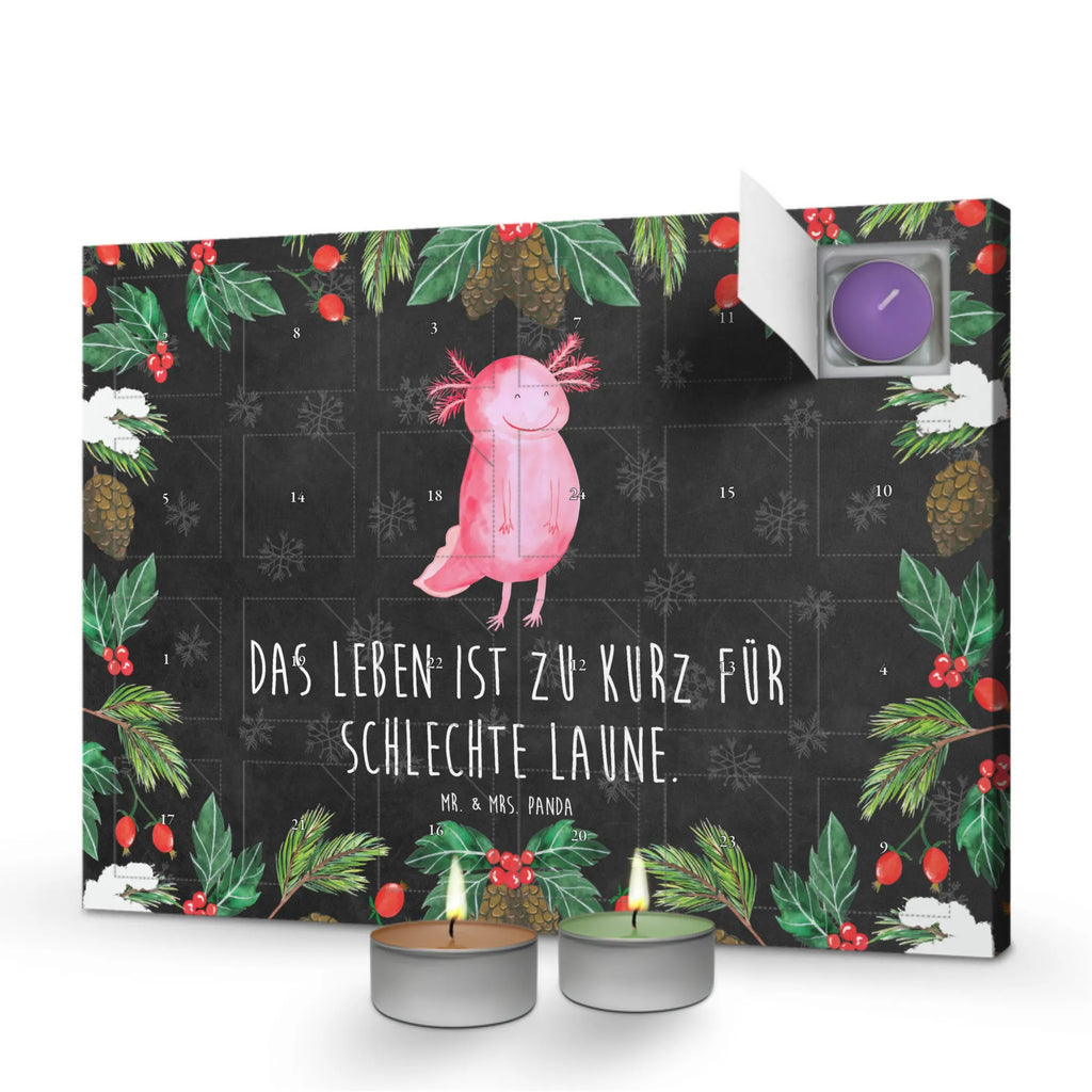 Scented candle advent calendar axolotl Happy salamander, Axelotl, marine animals, Mexican walking fish, tail, amphibian, good mood