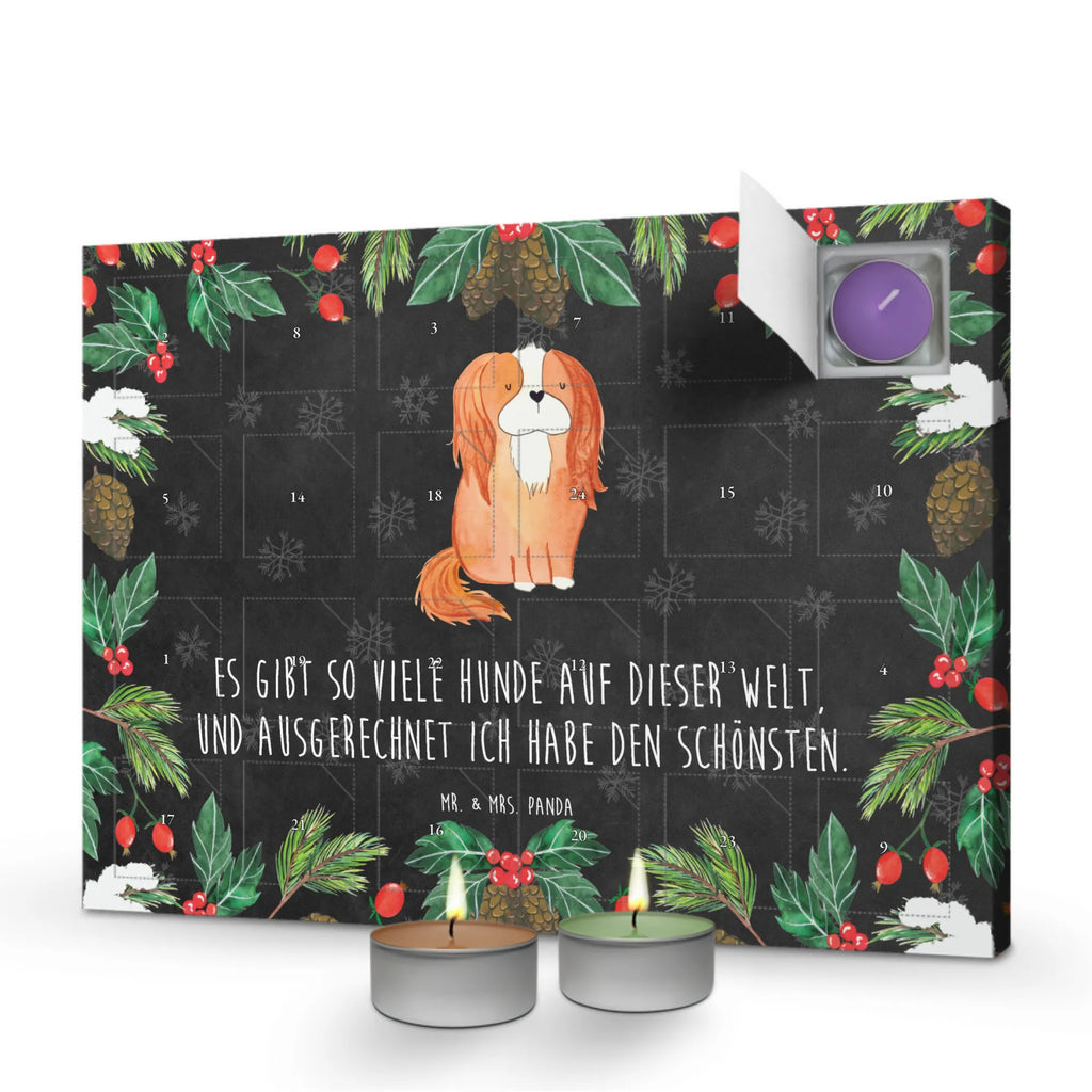 Weihnachtskalender Hund Cavalier King Charles Spaniel Kerzen Adventskalender, duft adventskalender, raumduft adventskalender, aroma adventskalender, duft kalender, Weihnachtskalender, kerzenkalender, adventskalender mit duftkerzen, Adventskalender, adventskalender duftkerzen, adventskerzen kalender, adventskalender mit kerzen, Duftkerzen Adventskalender, duftkerzenkalender, weihnachts adventskalender, adventskalender kerzen, Hunderasse, Tierliebhaber, Hundemotiv, Haustier, Hundebesitzer, Hund, Sprüche, Schönster Hund, Spaniel, Cockerspaniel, Cavalier King Charles Spaniel, Spruch