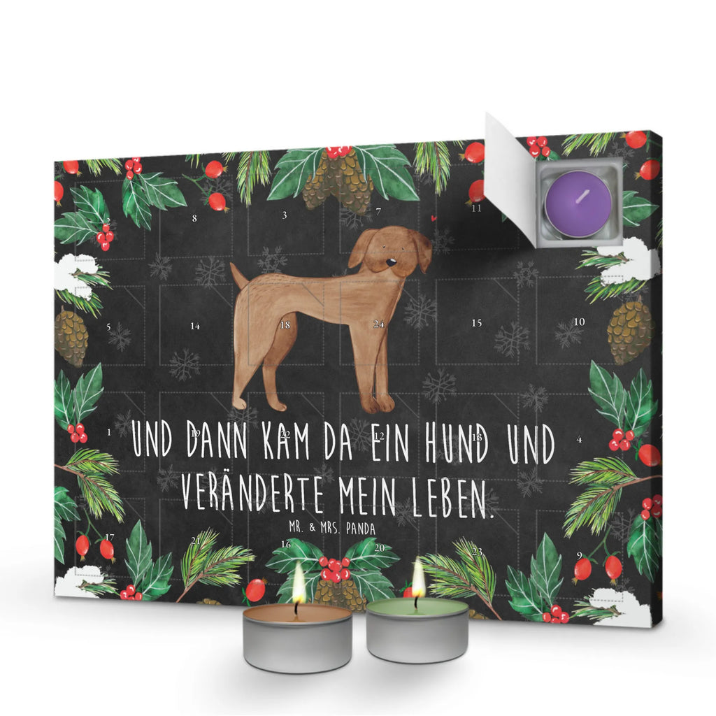 Scented candle advent calendar Dog mastiff dog breed, hound, bag with dog print, mutt, what do you give a dog lover, dog mama, Christmas gifts for dogs, dog decorative items, funny gifts for dog owners, dog sayings, love dogs, woof, love for dogs, gifts for dogs, Dogs