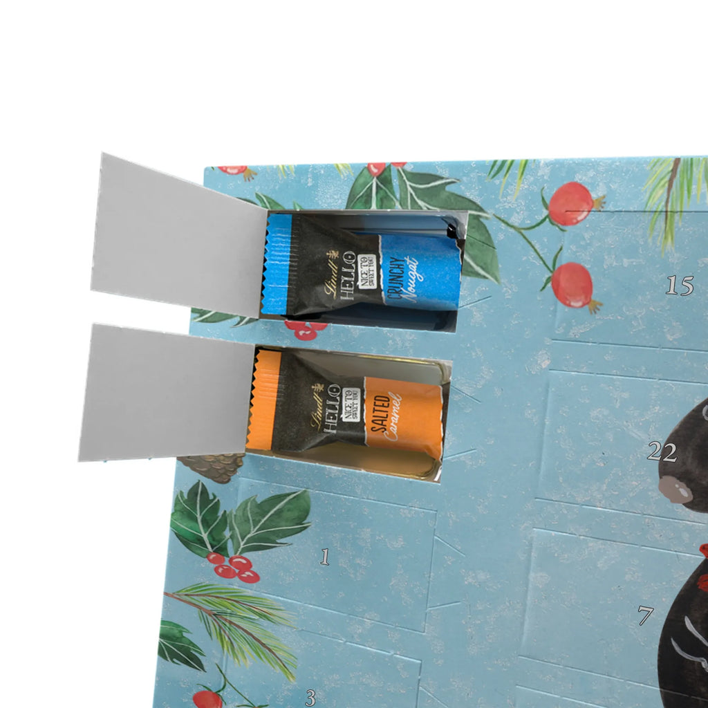 Chocolate advent calendar skunk flower wild animal, daydreamer, predator, dreamy, stink