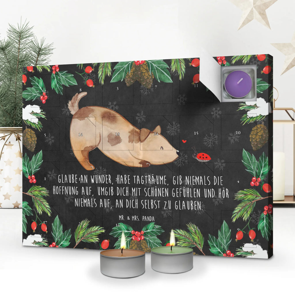 Scented candle advent calendar Dog ladybug dog breed, mutt, hound, woof, dog mama, love dogs, love for dogs, dog decorative items, bag with dog print, funny gifts for dog owners, what do you give a dog lover, Christmas gifts for dogs, gifts for dogs, dog sayings, Mongrel dog, Mongrel, Ladybird, Sayings, Dog slogan, Dogs
