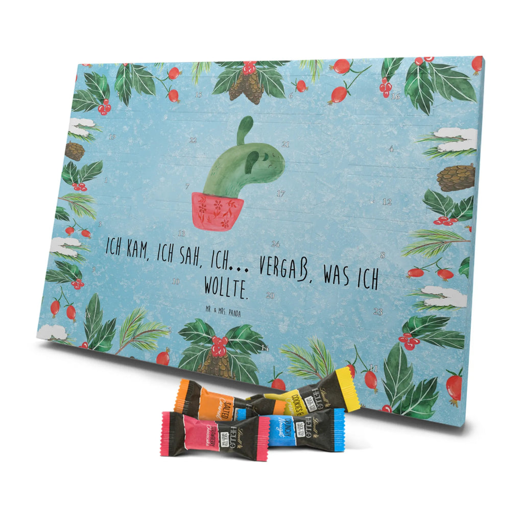 Chocolate advent calendar cactus mummy cactus, cactuses, plants, small green cactus, cactus plant, cactus love, cacti, office life, school, quota, annoyance