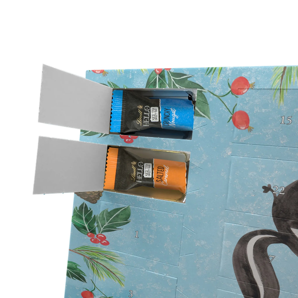 Chocolate advent calendar skunk ball wisdom, playful, predator, stinky, wild animal