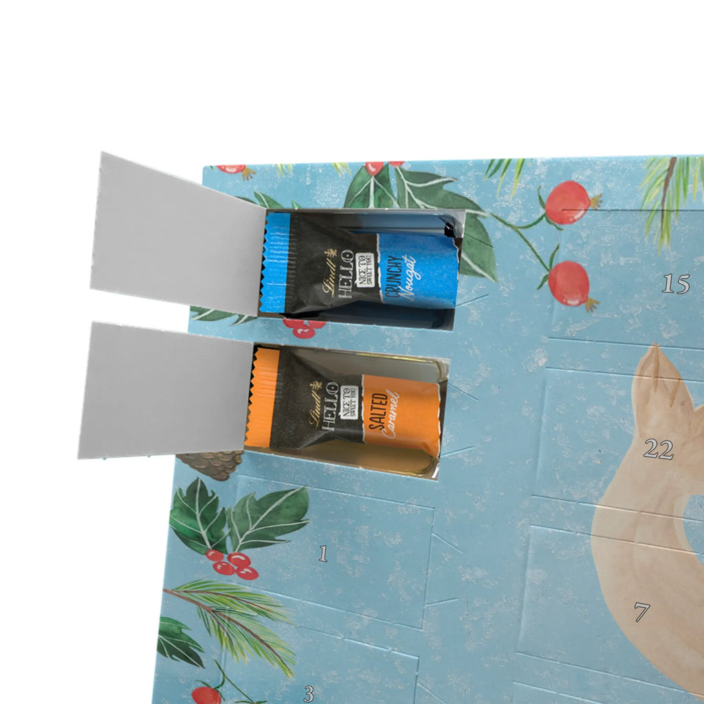 Schoko Adventskalender Robbe Liegen adventskalender pralinen, kalender schokolade, Schokoladen Adventskalender, schoko kalender, schokoladenkalender, Weihnachts Kalender, Schoko-Adventskalender, Weihnachten Adventskalender, weihnachtskalender schoko, schokolade adventskalender, pralinen adventskalender, Schoko Adventskalender, schokoladen kalender, adventskalender schoko, süßigkeiten kalender, süßigkeiten adventskalender, Schokoladen-Weihnachtskalender, schoko weihnachtskalender, Weihnachtskalender Schokolade, Adventskalender Schokolade, kalender weihnachten, Schokoladen-Adventskalender, Weihnachtskalender, schokokalender, Adventskalender, adventskalender süßigkeiten, Lustige Sprüche, Gute Laune, Tiermotive, Tiere, Nordsee, Meerestier, Ostsee, Robben, Robbe, Freude, Seehund, Lachen, Strand