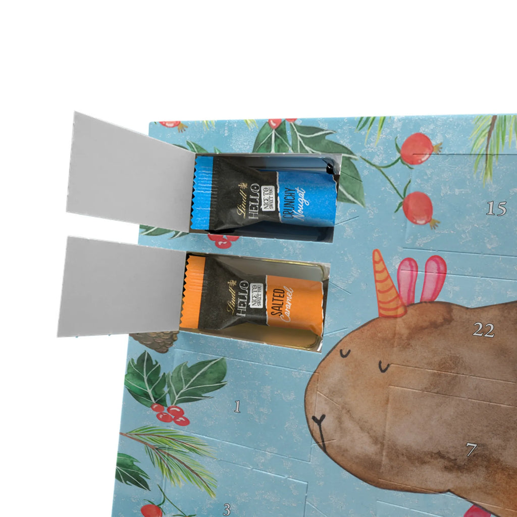 Chocolate advent calendar unicorn Guinea pig guinea pig, squirrels