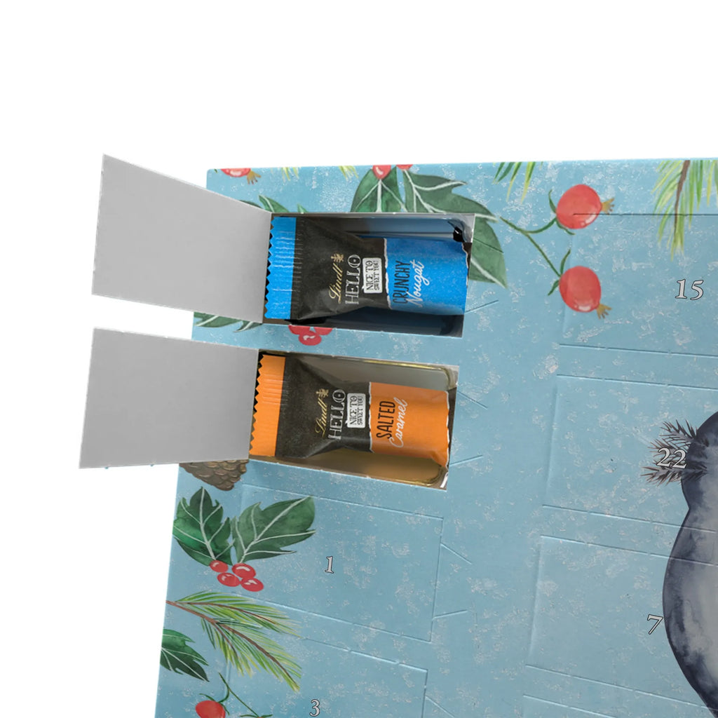 Chocolate advent calendar axolotl Girlfriend Mexican walking fish, Axelotl, marine animals, salamander, amphibian, husband, valentine's day, great love, friend, tail, fiancé, anniversary, proof of love